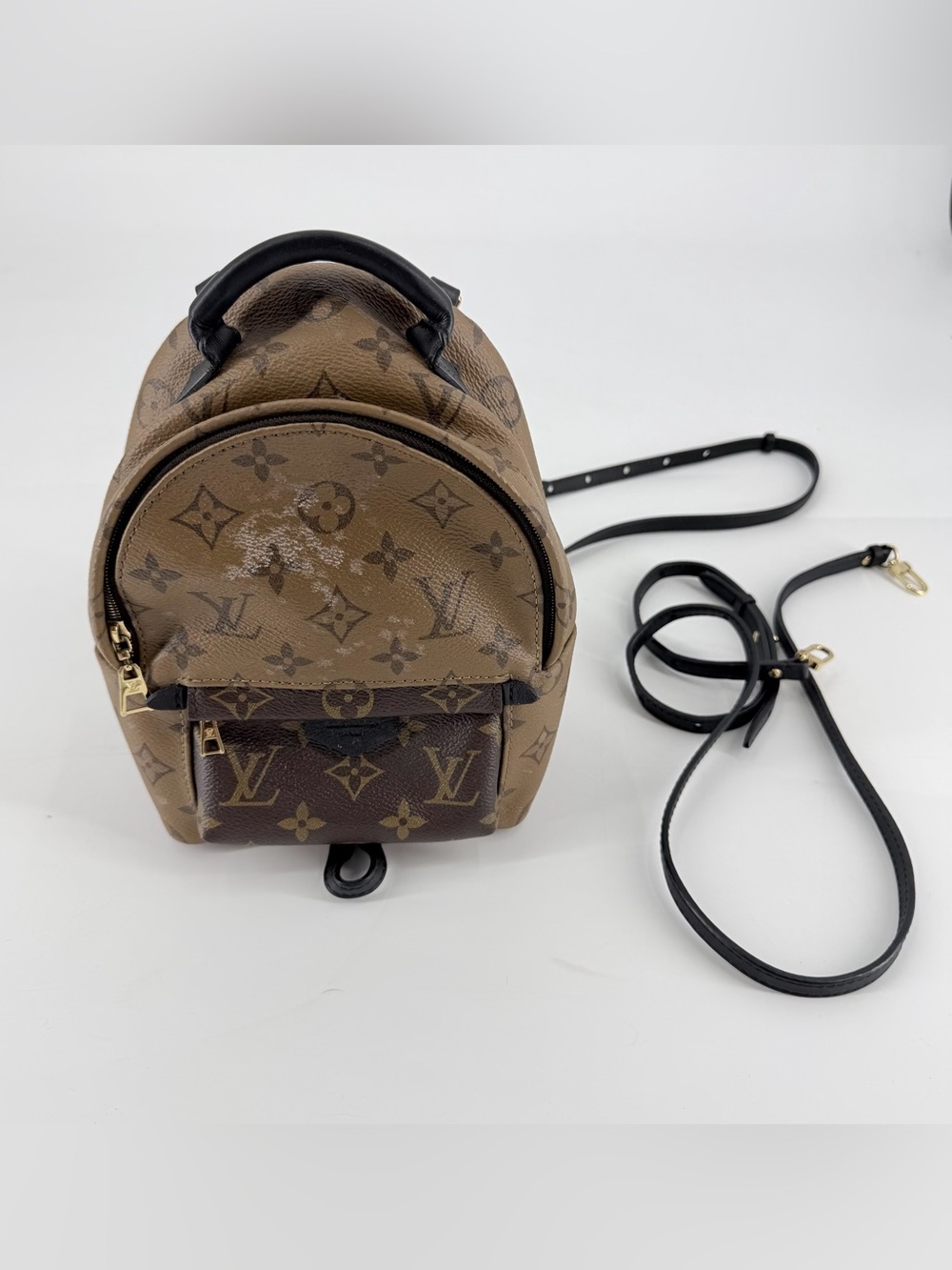 Louis Vuitton Reverse Monogram Palm Springs Backpack Mini